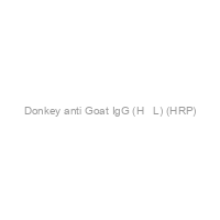 Donkey anti Goat IgG (H + L) (HRP)